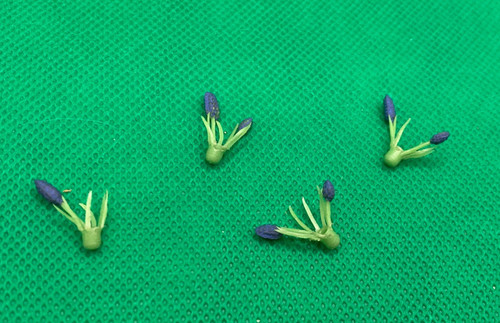 Vintage britains floral - floral, garden