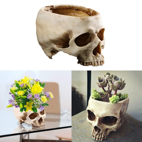 Plant pots skull head - pots, toy