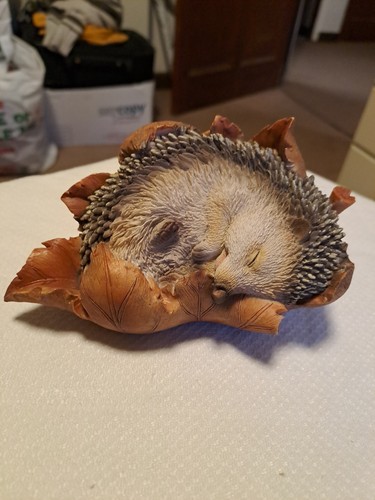 Baby hedgehog leaf - in, leaf.