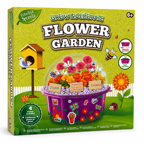 Creative sprouts grow - creative,