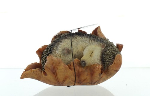 Vivid arts pet - arts, pal